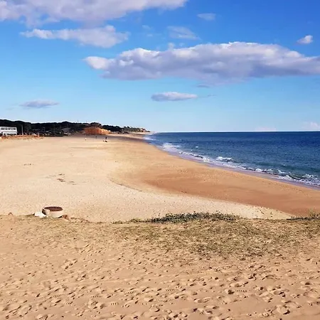 Ocean View *