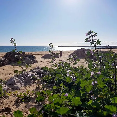 Ocean View Albufeira