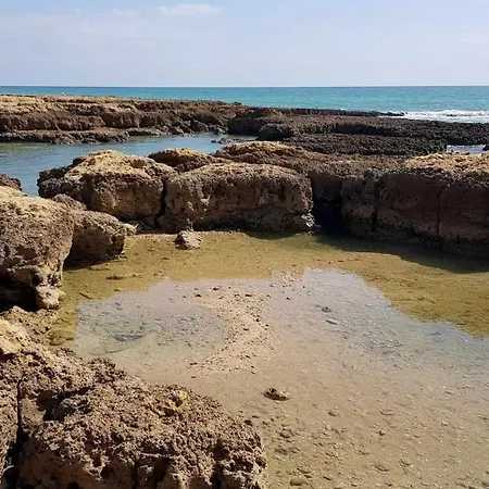 Apartment Ocean View
