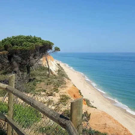 Ocean View Албуфейра