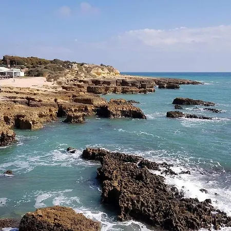 Ocean View